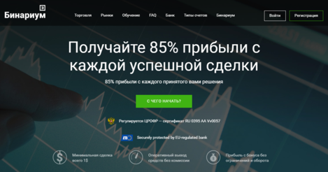 бинариум.png