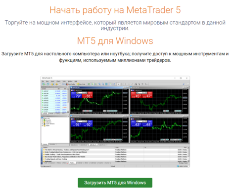 скачиваем мт5.png