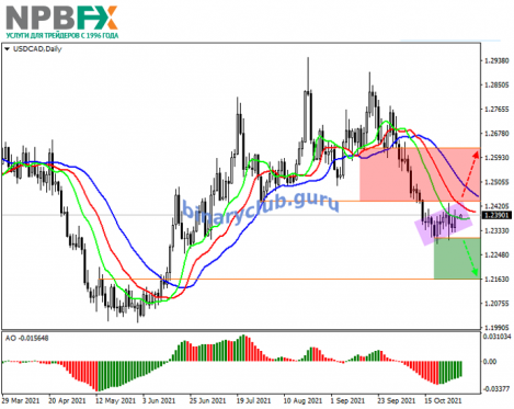 USDCAD011021-2.png
